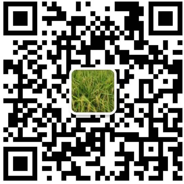 WeChat QR Code